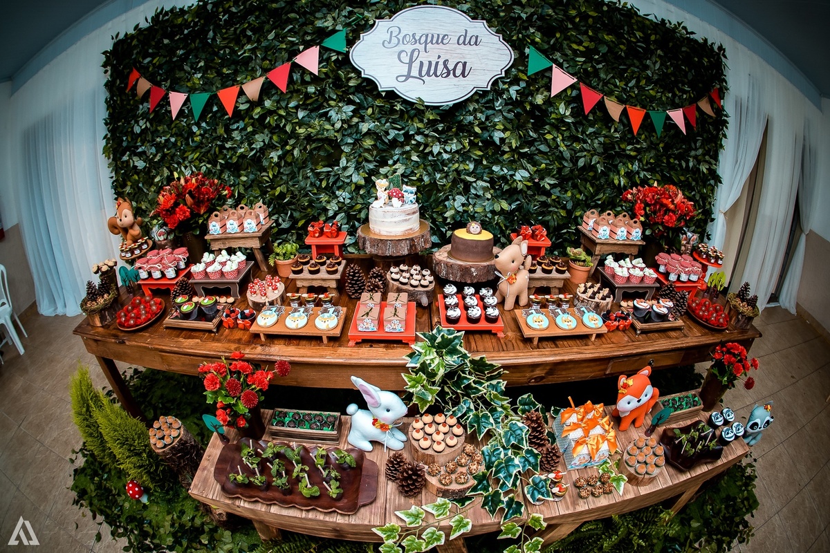 Aniversário Infantil Festa Alex Jardim Fotografia Fotógrafo Resende Itatiaia Penedo Porto Real Quatis Barra Mansa Volta Redonda