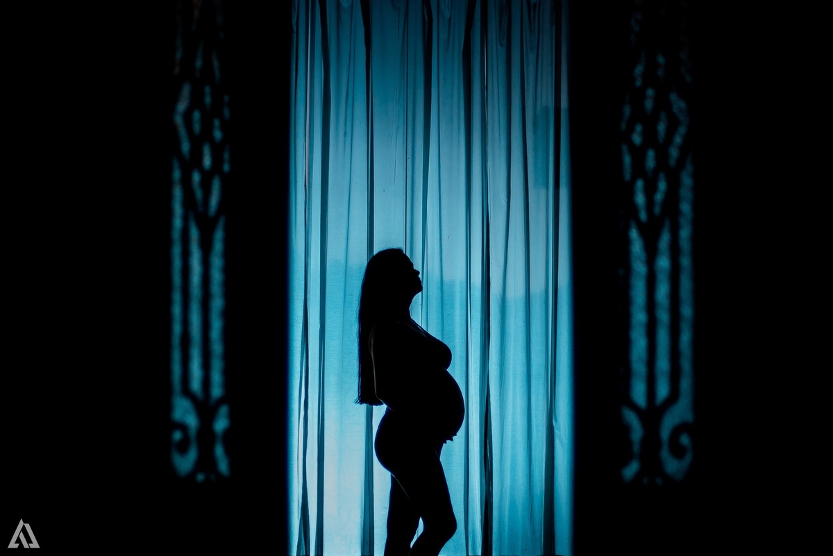 Ensaio Book Gestante Nua Lingerie Cachorro Alex Jardim Fotografia Fotógrafo Resende Itatiaia Penedo Porto Real Quatis Barra Mansa Volta Redonda Galpão Mix