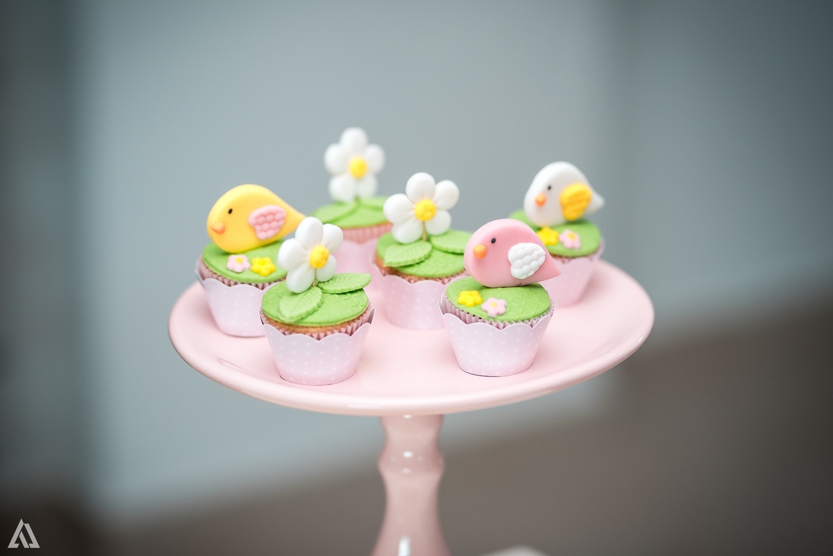 Aniversário Infantil Festa Alex Jardim Fotografia Fotógrafo Resende Itatiaia Penedo Porto Real Quatis Barra Mansa Volta Redonda