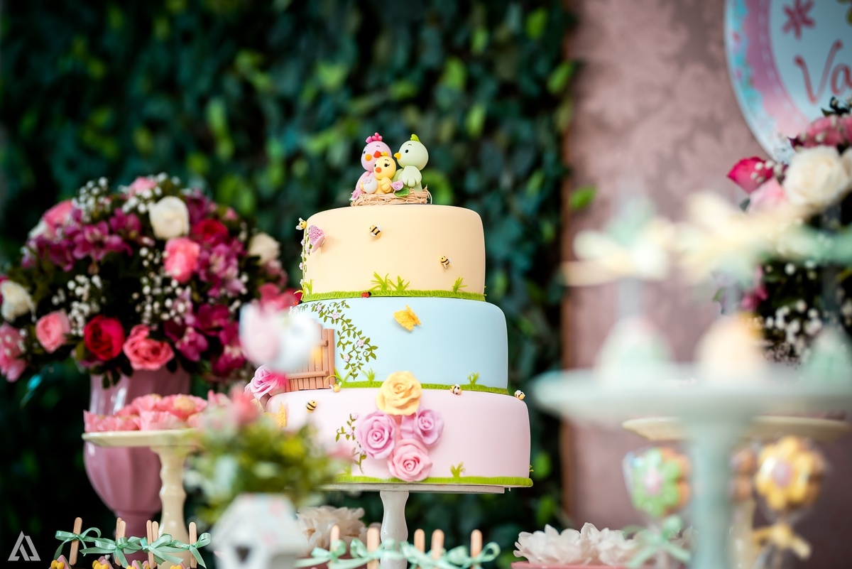 Aniversário Infantil Festa Alex Jardim Fotografia Fotógrafo Resende Itatiaia Penedo Porto Real Quatis Barra Mansa Volta Redonda