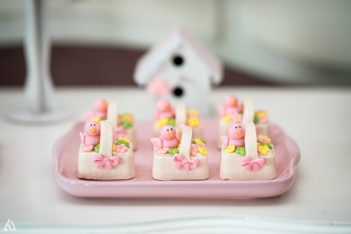 Aniversário Infantil Festa Alex Jardim Fotografia Fotógrafo Resende Itatiaia Penedo Porto Real Quatis Barra Mansa Volta Redonda