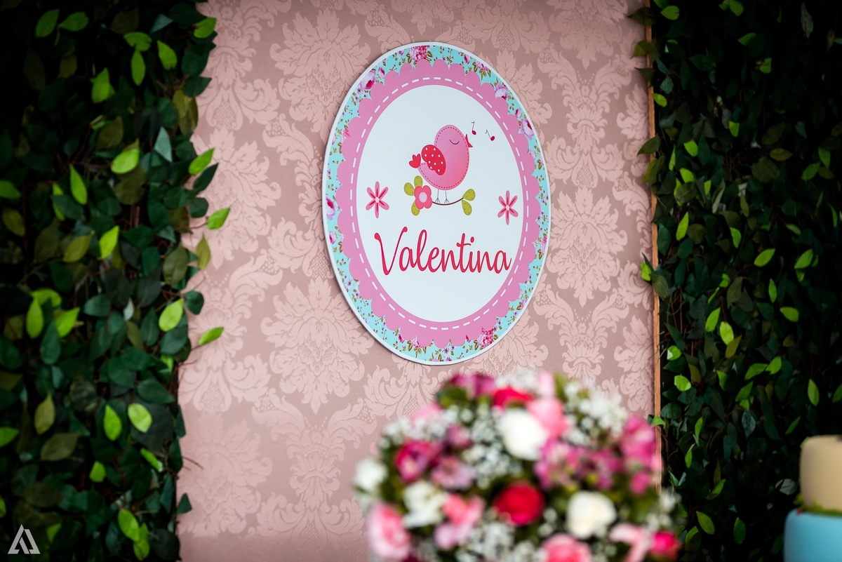 Aniversário Infantil Festa Alex Jardim Fotografia Fotógrafo Resende Itatiaia Penedo Porto Real Quatis Barra Mansa Volta Redonda