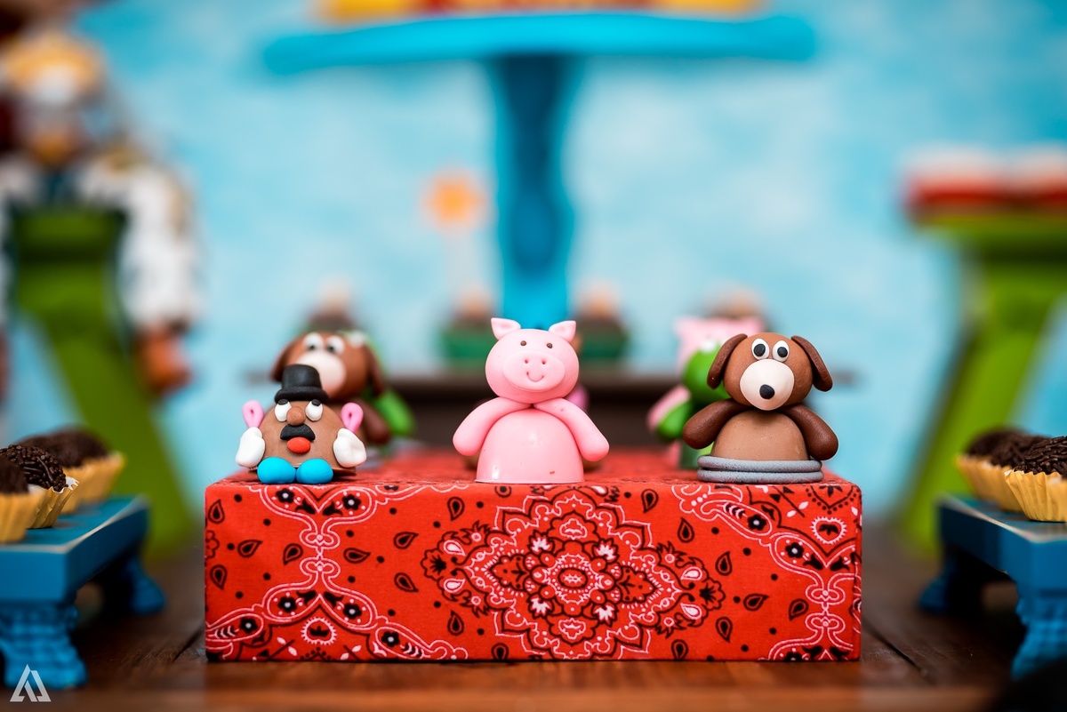 Aniversário Infantil Festa Alex Jardim Fotografia Fotógrafo Resende Itatiaia Penedo Porto Real Quatis Barra Mansa Volta Redonda CIMAN