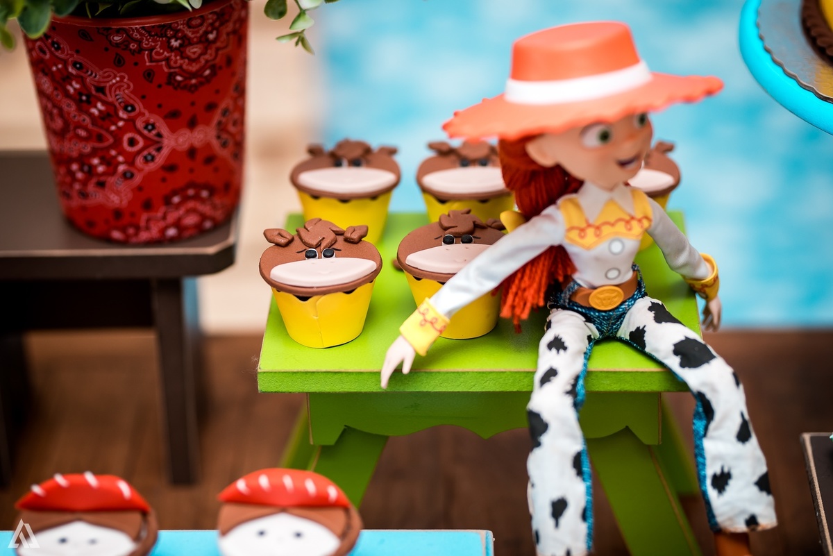 Aniversário Infantil Festa Alex Jardim Fotografia Fotógrafo Resende Itatiaia Penedo Porto Real Quatis Barra Mansa Volta Redonda CIMAN