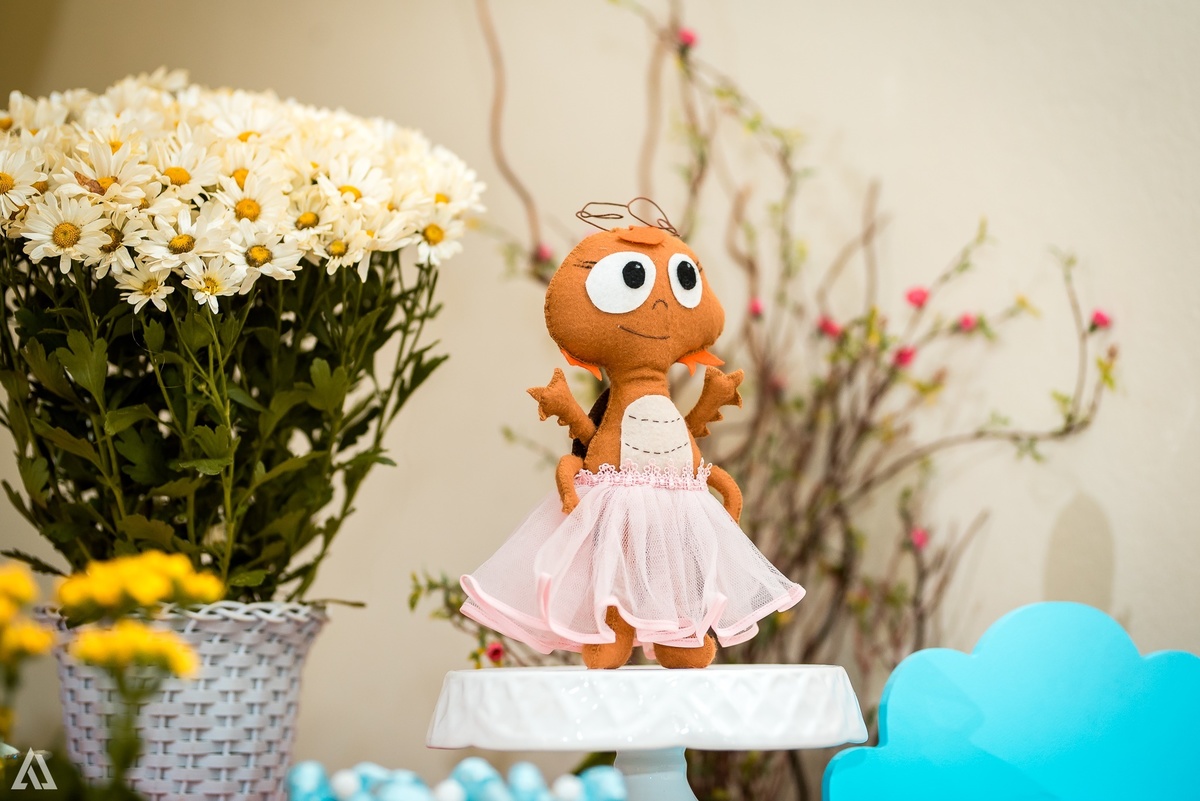 Aniversário Infantil Festa Alex Jardim Fotografia Fotógrafo Resende Itatiaia Penedo Porto Real Quatis Barra Mansa Volta Redonda 