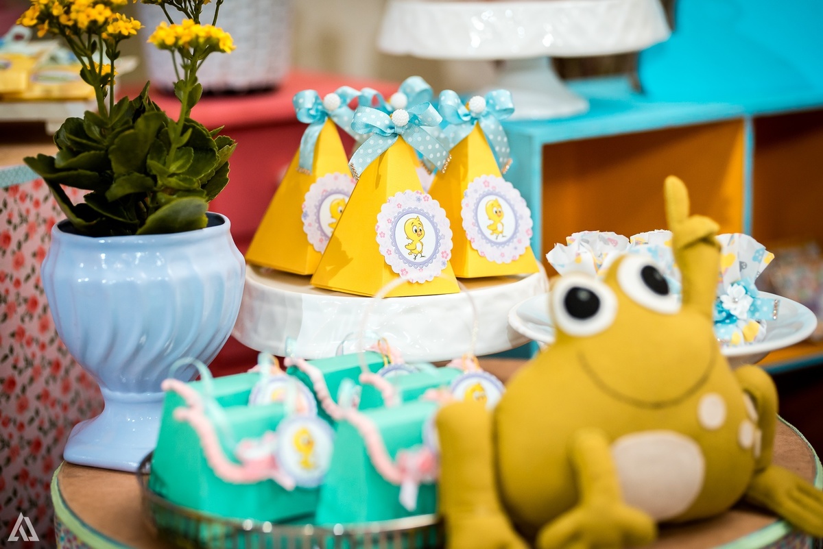 Aniversário Infantil Festa Alex Jardim Fotografia Fotógrafo Resende Itatiaia Penedo Porto Real Quatis Barra Mansa Volta Redonda 