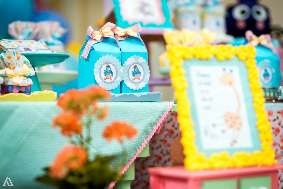 Aniversário Infantil Festa Alex Jardim Fotografia Fotógrafo Resende Itatiaia Penedo Porto Real Quatis Barra Mansa Volta Redonda 