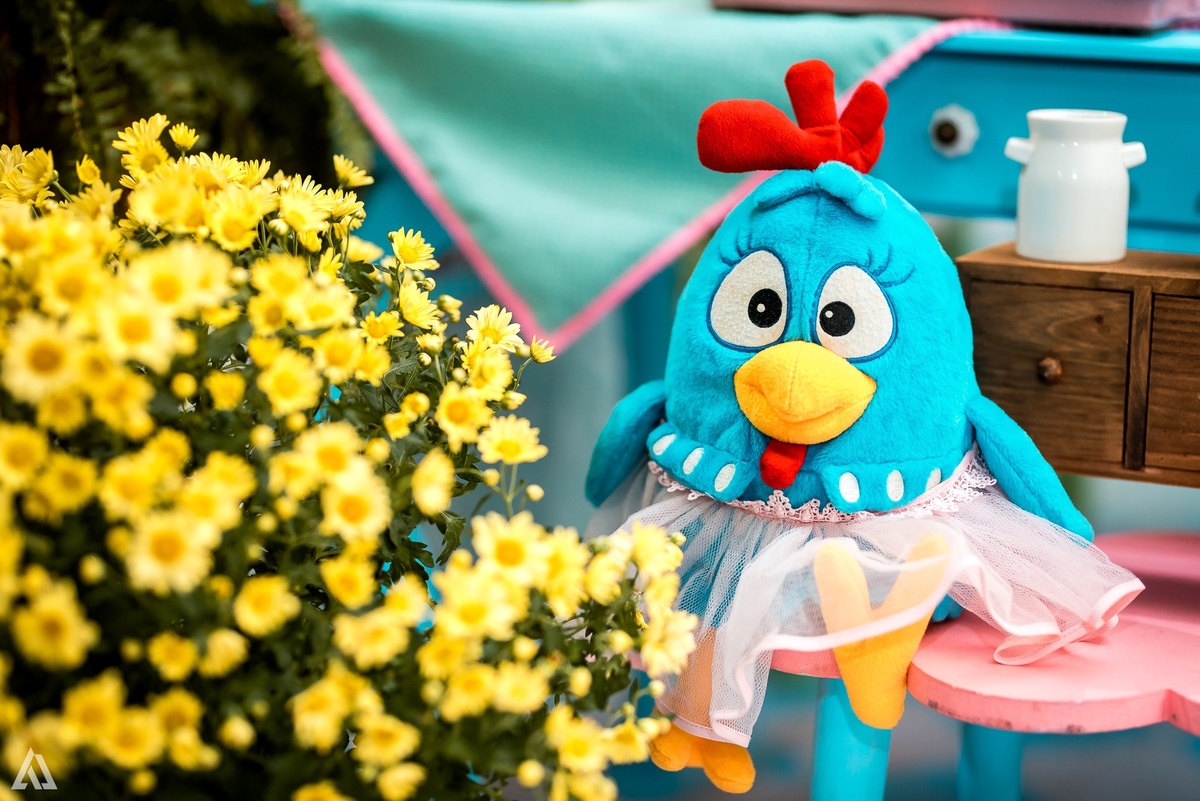 Aniversário Infantil Festa Alex Jardim Fotografia Fotógrafo Resende Itatiaia Penedo Porto Real Quatis Barra Mansa Volta Redonda 