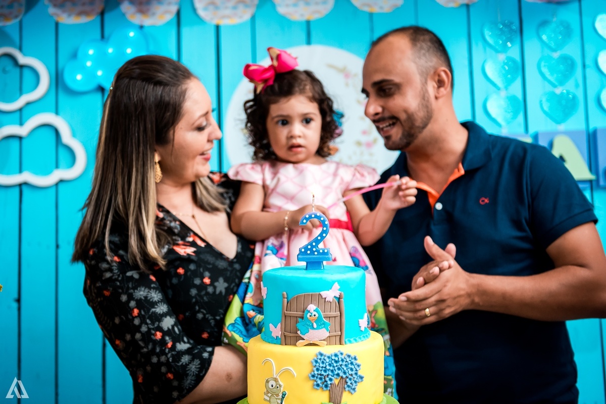 Aniversário Infantil Festa Alex Jardim Fotografia Fotógrafo Resende Itatiaia Penedo Porto Real Quatis Barra Mansa Volta Redonda 