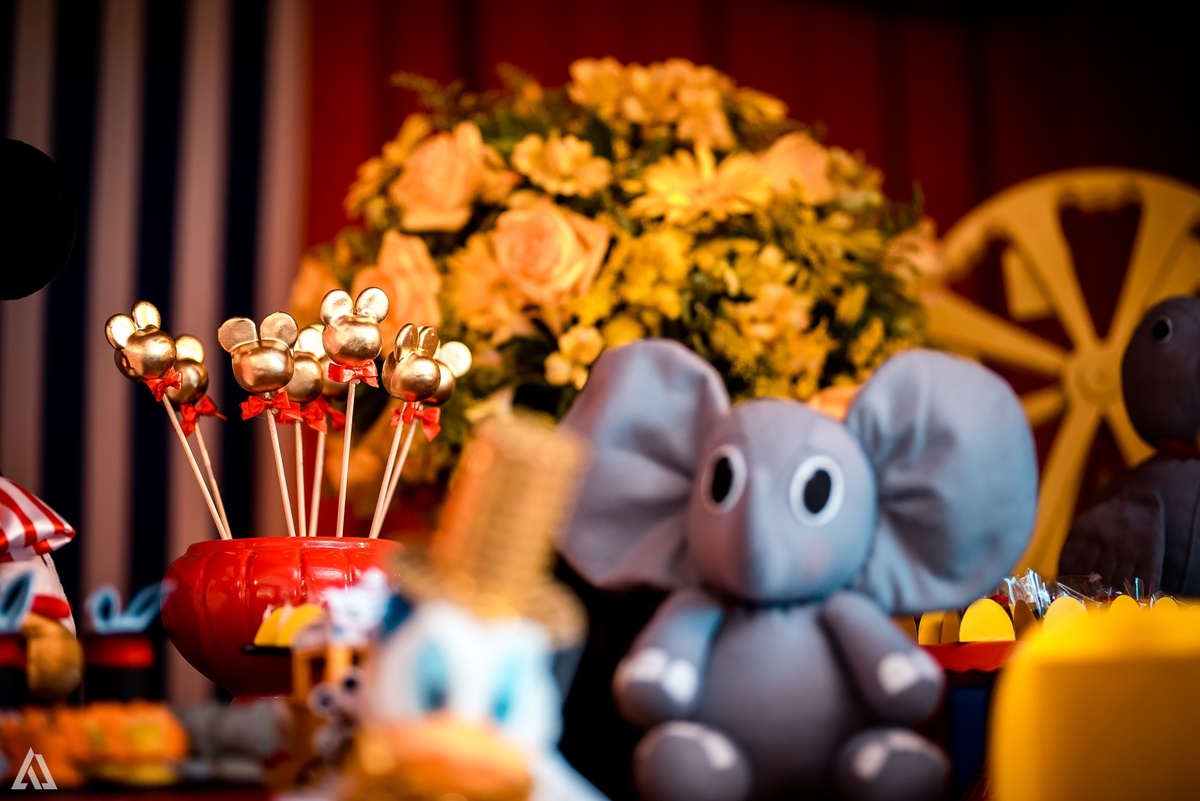 Aniversário Festa Infantil Circo do Mickey Alex Jardim Fotografia Fotógrafo Resende Itatiaia Porto Real Quatis Barra Mansa Volta Redonda Terras AlphaVille 