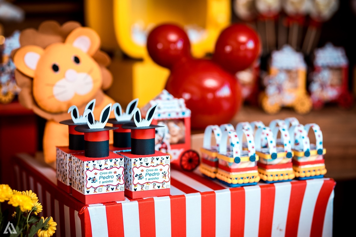 Aniversário Festa Infantil Circo do Mickey Alex Jardim Fotografia Fotógrafo Resende Itatiaia Porto Real Quatis Barra Mansa Volta Redonda Terras AlphaVille 