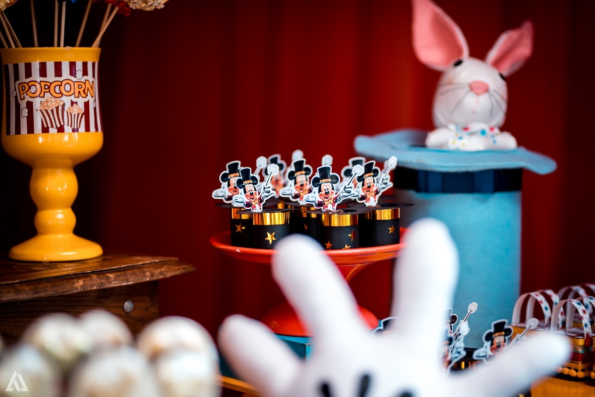 Aniversário Festa Infantil Circo do Mickey Alex Jardim Fotografia Fotógrafo Resende Itatiaia Porto Real Quatis Barra Mansa Volta Redonda Terras AlphaVille 