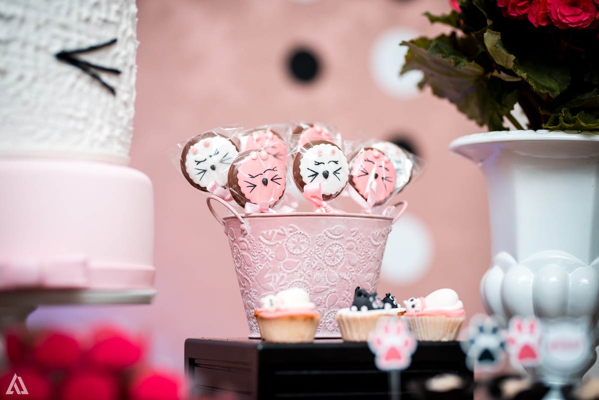 Aniversário Festa 30 Anos Alex Jardim Fotografia Fotógrafo Resende Itatiaia Porto Real Quatis Barra Mansa Volta Redonda 