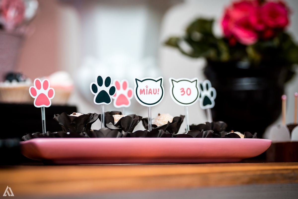 Aniversário Festa 30 Anos Alex Jardim Fotografia Fotógrafo Resende Itatiaia Porto Real Quatis Barra Mansa Volta Redonda 