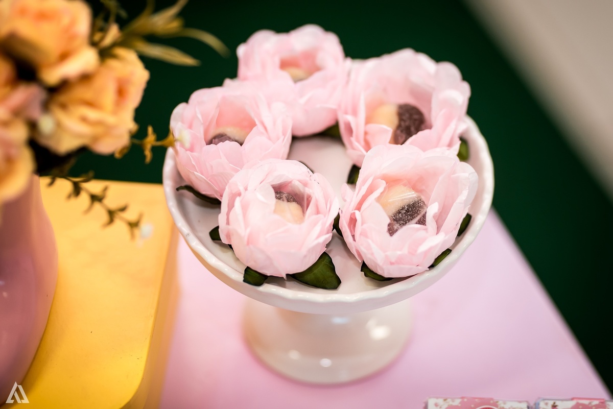 Aniversário Festa Infantil Jardim Alex Jardim Fotografia Fotógrafo Resende Itatiaia Porto Real Quatis Barra Mansa Volta Redonda 