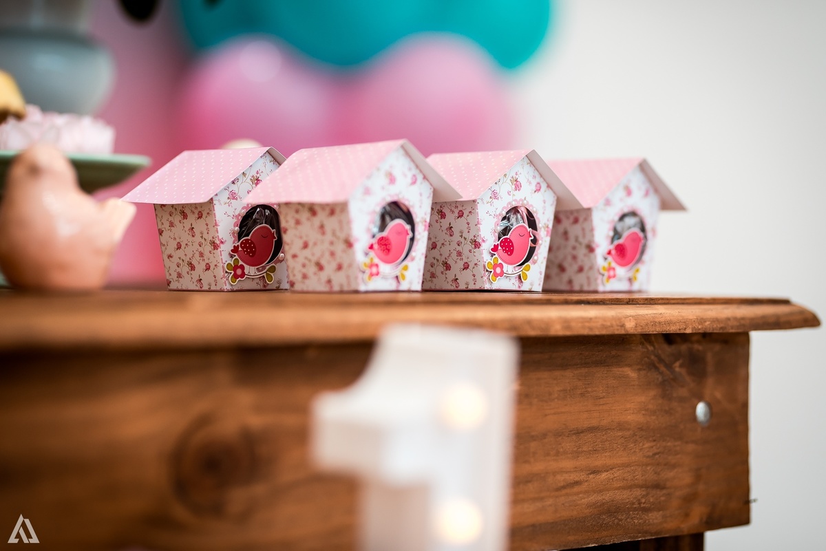 Aniversário Festa Infantil Jardim Alex Jardim Fotografia Fotógrafo Resende Itatiaia Porto Real Quatis Barra Mansa Volta Redonda 