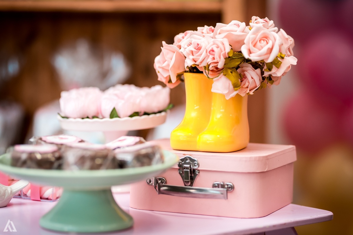 Aniversário Festa Infantil Jardim Alex Jardim Fotografia Fotógrafo Resende Itatiaia Porto Real Quatis Barra Mansa Volta Redonda 