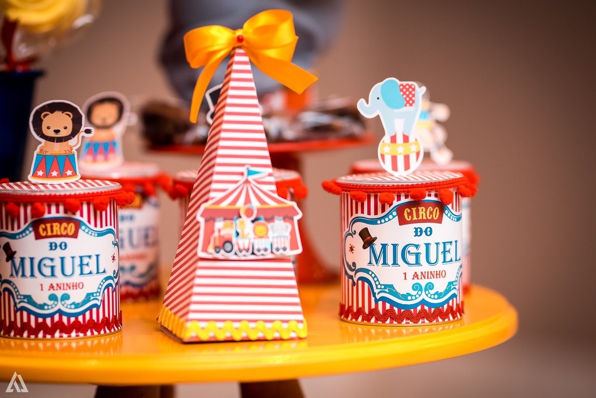 Aniversário Festa Infantil Circo Alex Jardim Fotografia Fotógrafo Resende Itatiaia Porto Real Quatis Barra Mansa Volta Redonda Terras AlphaVille 