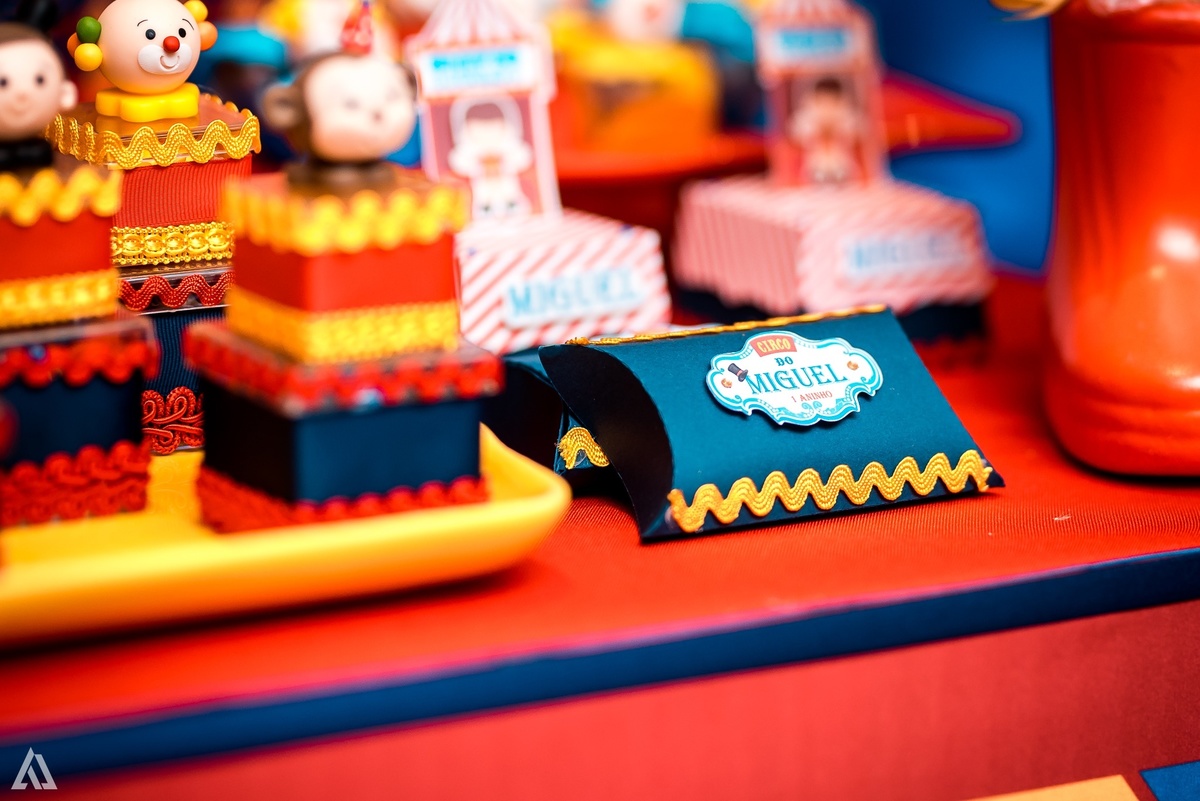 Aniversário Festa Infantil Circo Alex Jardim Fotografia Fotógrafo Resende Itatiaia Porto Real Quatis Barra Mansa Volta Redonda Terras AlphaVille 