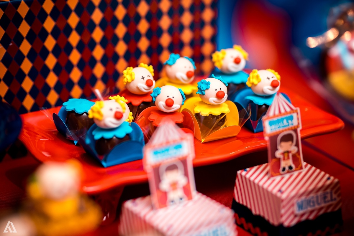 Aniversário Festa Infantil Circo Alex Jardim Fotografia Fotógrafo Resende Itatiaia Porto Real Quatis Barra Mansa Volta Redonda Terras AlphaVille 