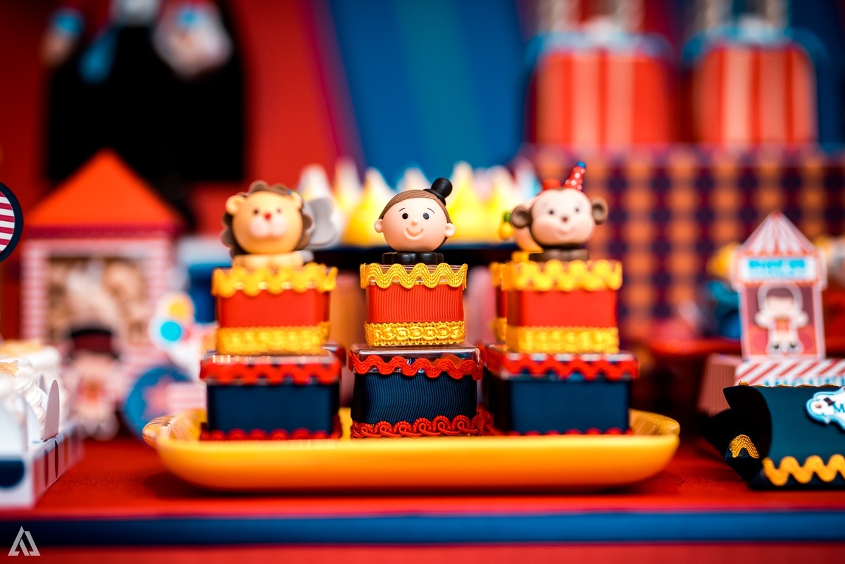 Aniversário Festa Infantil Circo Alex Jardim Fotografia Fotógrafo Resende Itatiaia Porto Real Quatis Barra Mansa Volta Redonda Terras AlphaVille 