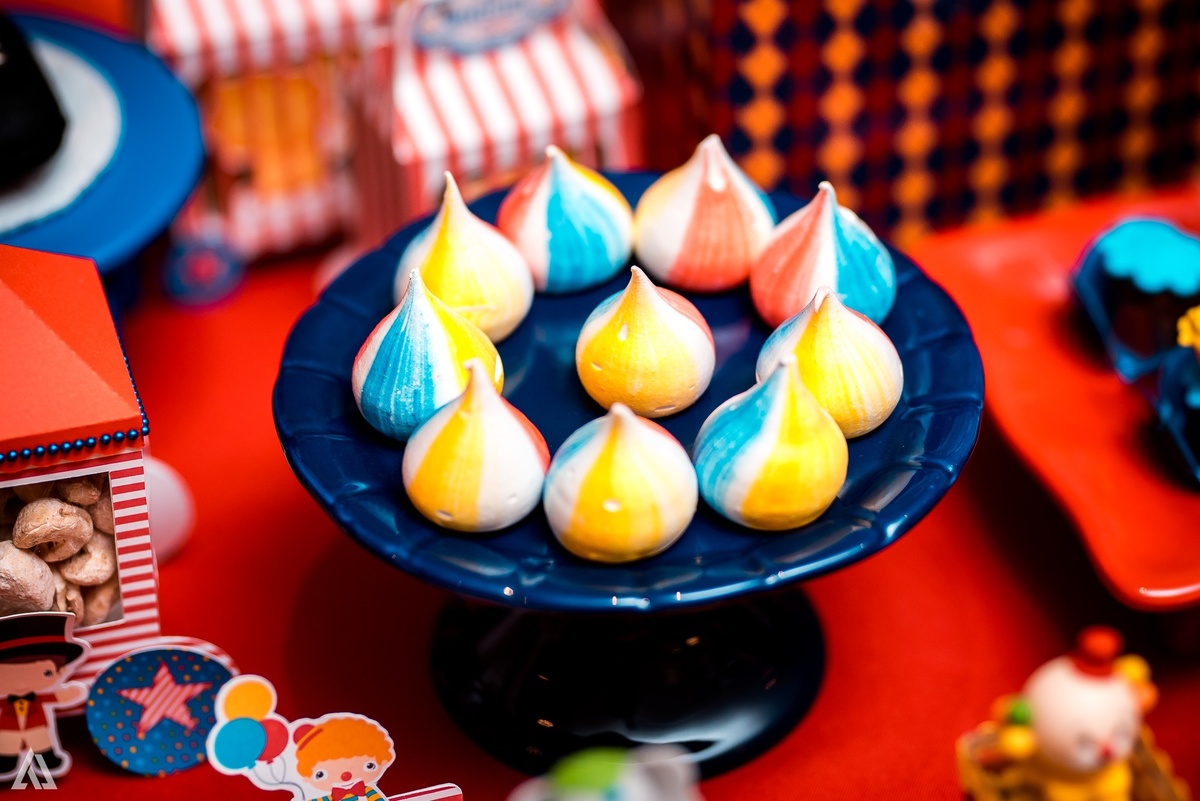 Aniversário Festa Infantil Circo Alex Jardim Fotografia Fotógrafo Resende Itatiaia Porto Real Quatis Barra Mansa Volta Redonda Terras AlphaVille 