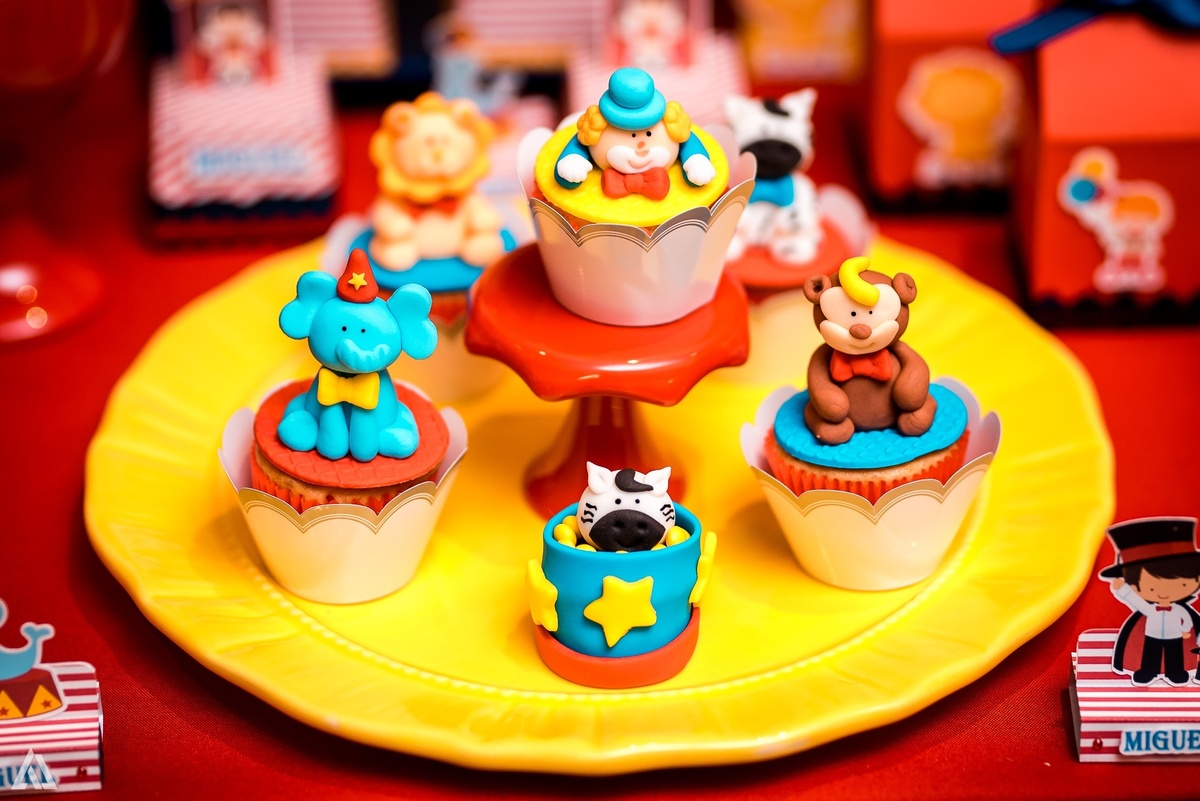 Aniversário Festa Infantil Circo Alex Jardim Fotografia Fotógrafo Resende Itatiaia Porto Real Quatis Barra Mansa Volta Redonda Terras AlphaVille 