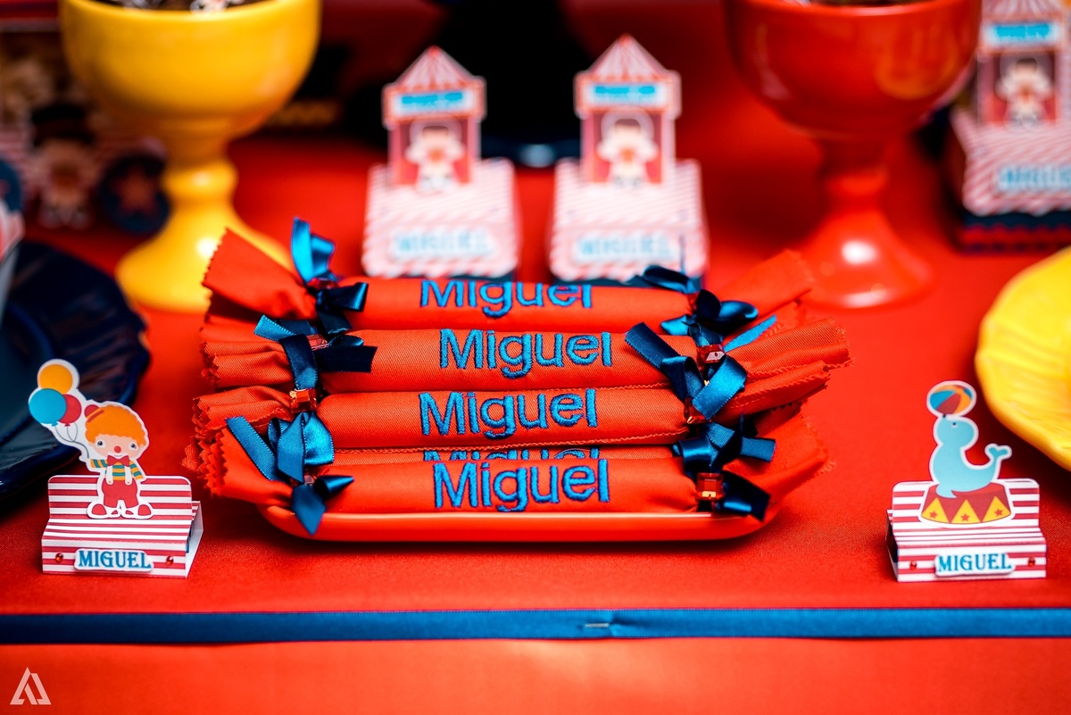 Aniversário Festa Infantil Circo Alex Jardim Fotografia Fotógrafo Resende Itatiaia Porto Real Quatis Barra Mansa Volta Redonda Terras AlphaVille 