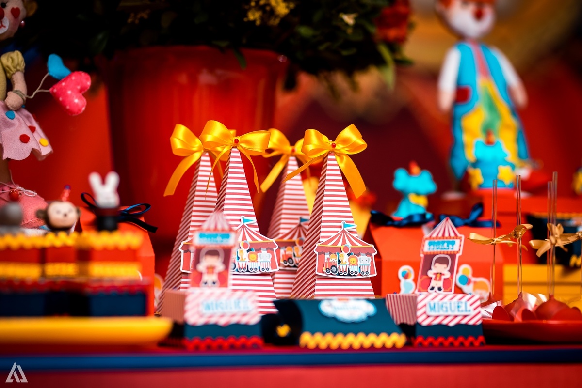 Aniversário Festa Infantil Circo Alex Jardim Fotografia Fotógrafo Resende Itatiaia Porto Real Quatis Barra Mansa Volta Redonda Terras AlphaVille 