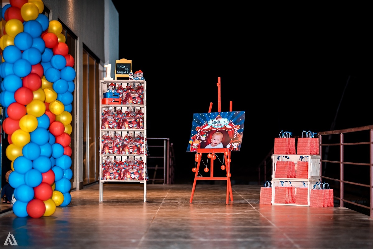 Aniversário Festa Infantil Circo Alex Jardim Fotografia Fotógrafo Resende Itatiaia Porto Real Quatis Barra Mansa Volta Redonda Terras AlphaVille 