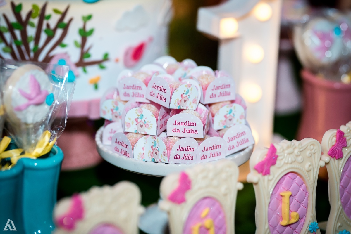 Aniversário Festa Infantil Alex Jardim Fotografia Fotógrafo Resende Itatiaia Porto Real Quatis Barra Mansa Volta Redonda 