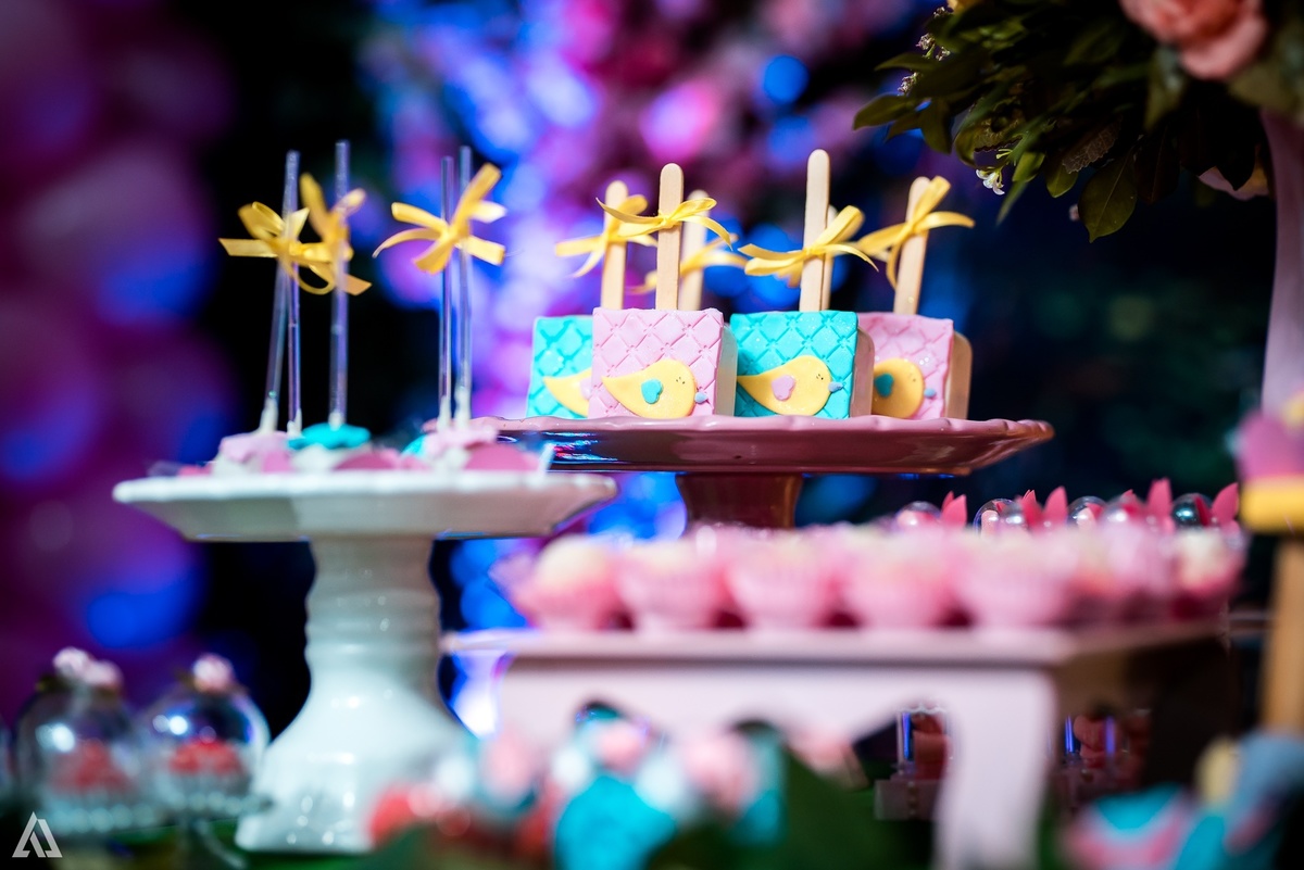 Aniversário Festa Infantil Alex Jardim Fotografia Fotógrafo Resende Itatiaia Porto Real Quatis Barra Mansa Volta Redonda 