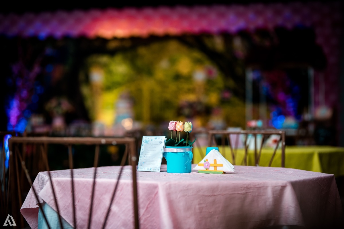 Aniversário Festa Infantil Alex Jardim Fotografia Fotógrafo Resende Itatiaia Porto Real Quatis Barra Mansa Volta Redonda 