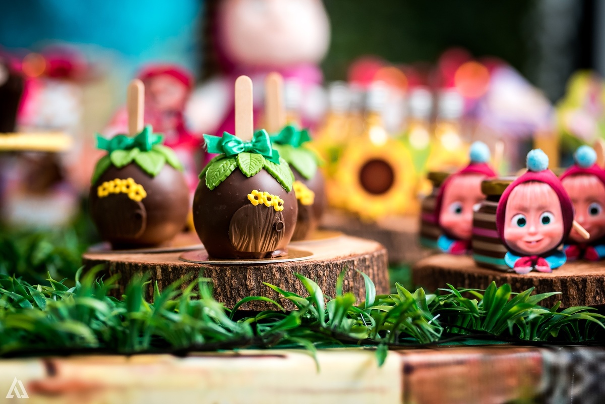 Aniversário Infantil Festa Masha e o Urso Alex Jardim Fotografia Fotógrafo Resende Itatiaia Penedo Porto Real Quatis Barra Mansa Volta Redonda Buffet Pintou Alegria