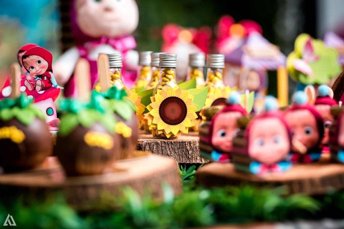 Aniversário Infantil Festa Masha e o Urso Alex Jardim Fotografia Fotógrafo Resende Itatiaia Penedo Porto Real Quatis Barra Mansa Volta Redonda Buffet Pintou Alegria