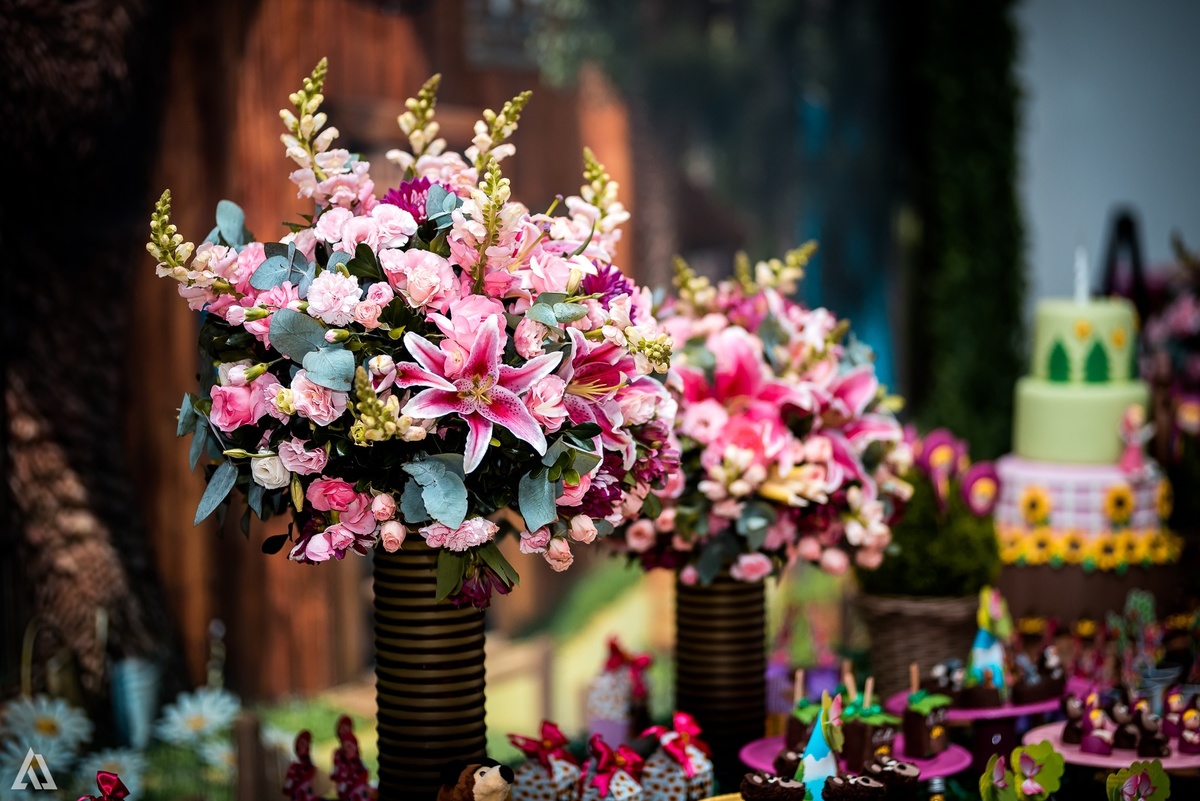 Aniversário Infantil Festa Masha e o Urso Alex Jardim Fotografia Fotógrafo Resende Itatiaia Penedo Porto Real Quatis Barra Mansa Volta Redonda Buffet Pintou Alegria