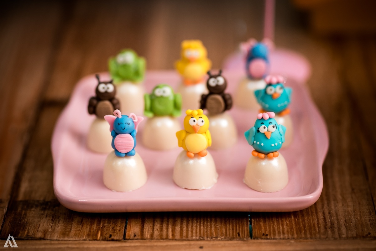 Aniversário Infantil Festa Copa do Mundo Alex Jardim Fotografia Fotógrafo Resende Itatiaia Penedo Porto Real Quatis Barra Mansa Volta Redonda Buffet Pintou Alegria