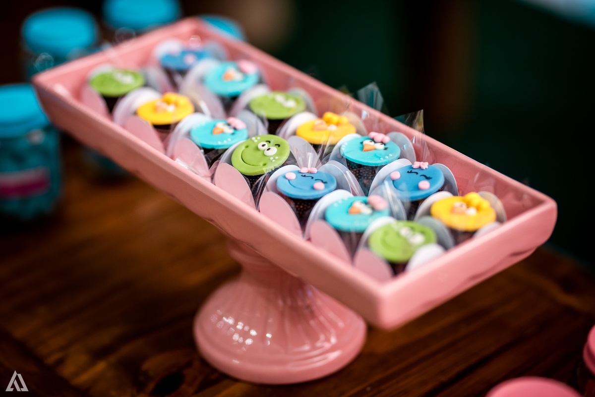 Aniversário Infantil Festa Copa do Mundo Alex Jardim Fotografia Fotógrafo Resende Itatiaia Penedo Porto Real Quatis Barra Mansa Volta Redonda Buffet Pintou Alegria