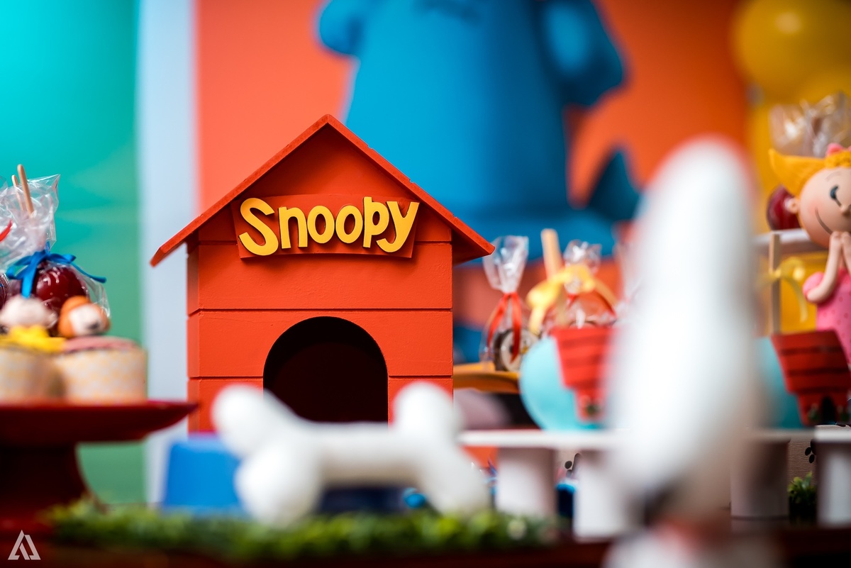 Aniversário Infantil Festa Copa do Mundo Alex Jardim Fotografia Fotógrafo Resende Itatiaia Penedo Porto Real Quatis Barra Mansa Volta Redonda 