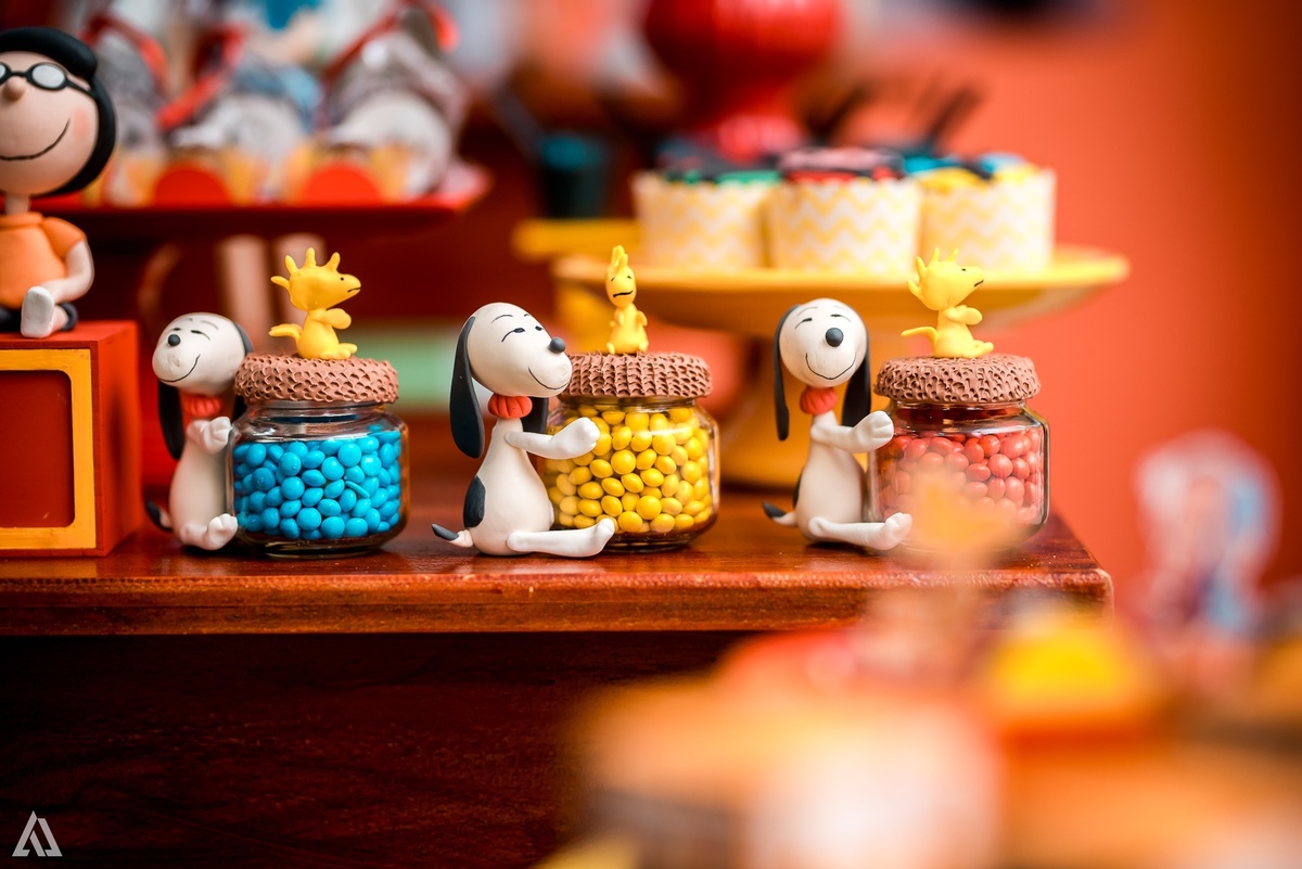 Aniversário Infantil Festa Copa do Mundo Alex Jardim Fotografia Fotógrafo Resende Itatiaia Penedo Porto Real Quatis Barra Mansa Volta Redonda 