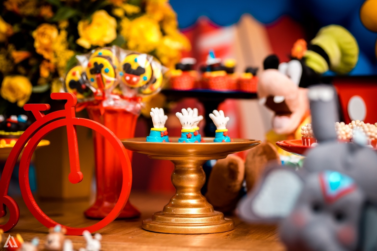 Aniversário Infantil Festa Circo Alex Jardim Fotografia Fotógrafo Resende Itatiaia Penedo Porto Real Quatis Barra Mansa Volta Redonda 