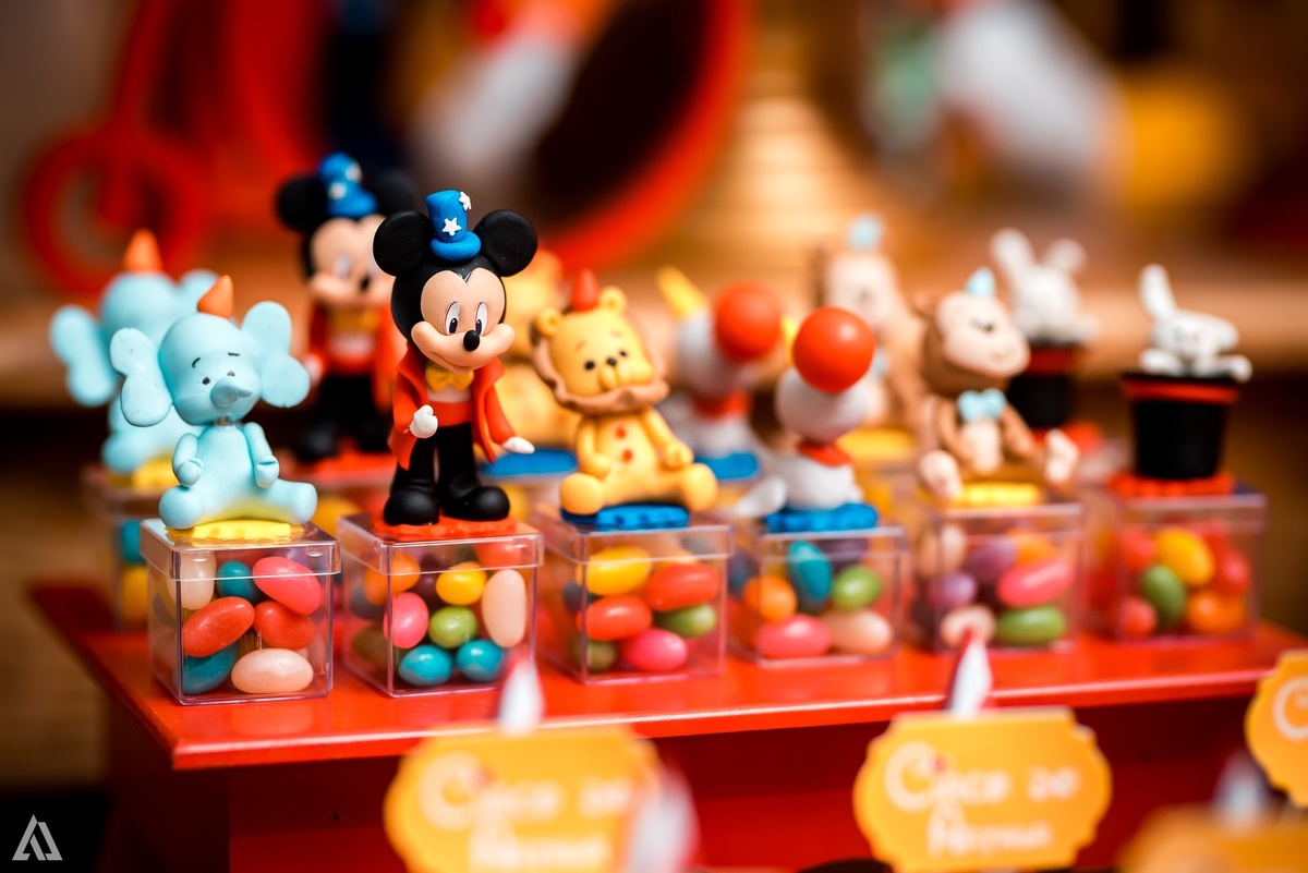 Aniversário Infantil Festa Circo Alex Jardim Fotografia Fotógrafo Resende Itatiaia Penedo Porto Real Quatis Barra Mansa Volta Redonda 