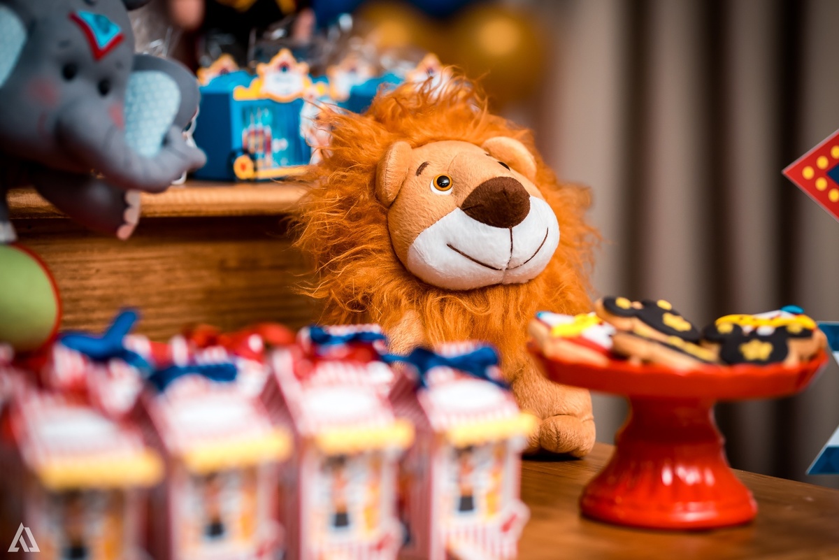 Aniversário Infantil Festa Circo Alex Jardim Fotografia Fotógrafo Resende Itatiaia Penedo Porto Real Quatis Barra Mansa Volta Redonda 