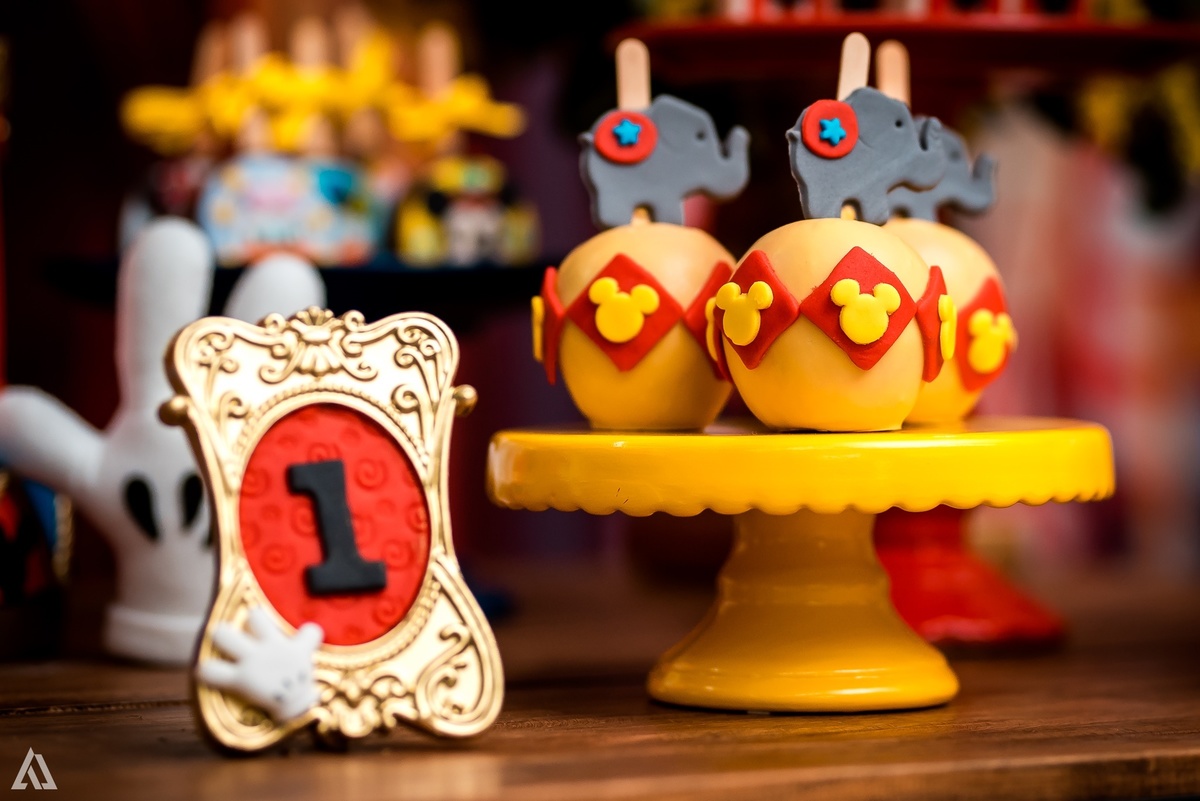 Aniversário Infantil Festa Circo Alex Jardim Fotografia Fotógrafo Resende Itatiaia Penedo Porto Real Quatis Barra Mansa Volta Redonda 