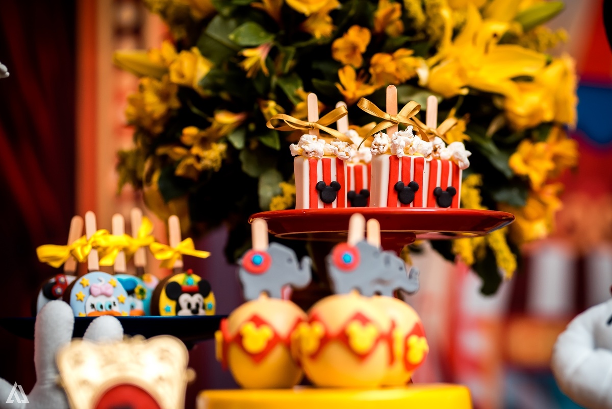 Aniversário Infantil Festa Circo Alex Jardim Fotografia Fotógrafo Resende Itatiaia Penedo Porto Real Quatis Barra Mansa Volta Redonda 