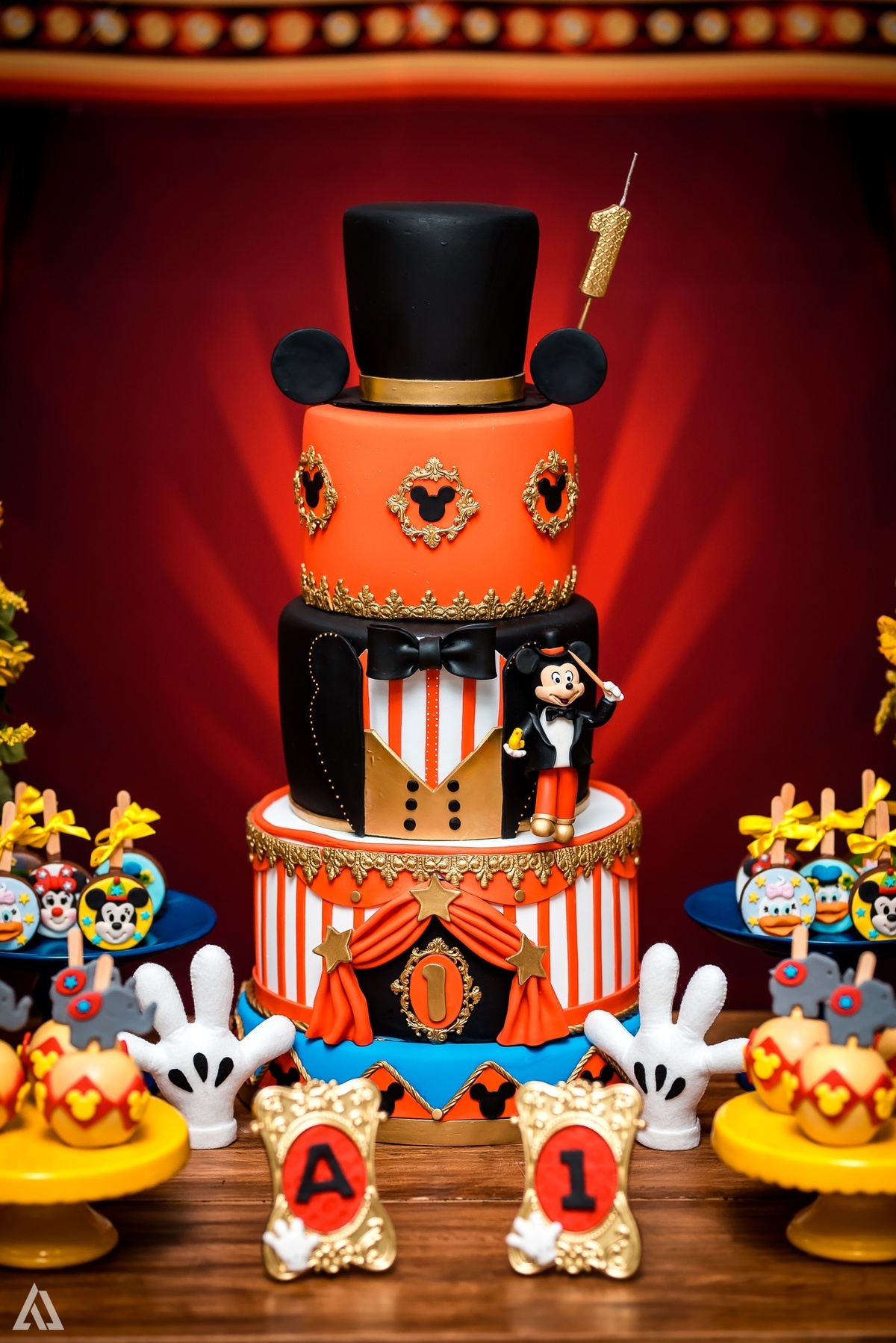 Aniversário Infantil Festa Circo Alex Jardim Fotografia Fotógrafo Resende Itatiaia Penedo Porto Real Quatis Barra Mansa Volta Redonda 