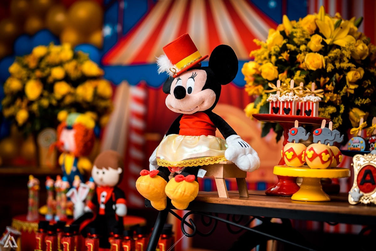 Aniversário Infantil Festa Circo Alex Jardim Fotografia Fotógrafo Resende Itatiaia Penedo Porto Real Quatis Barra Mansa Volta Redonda 