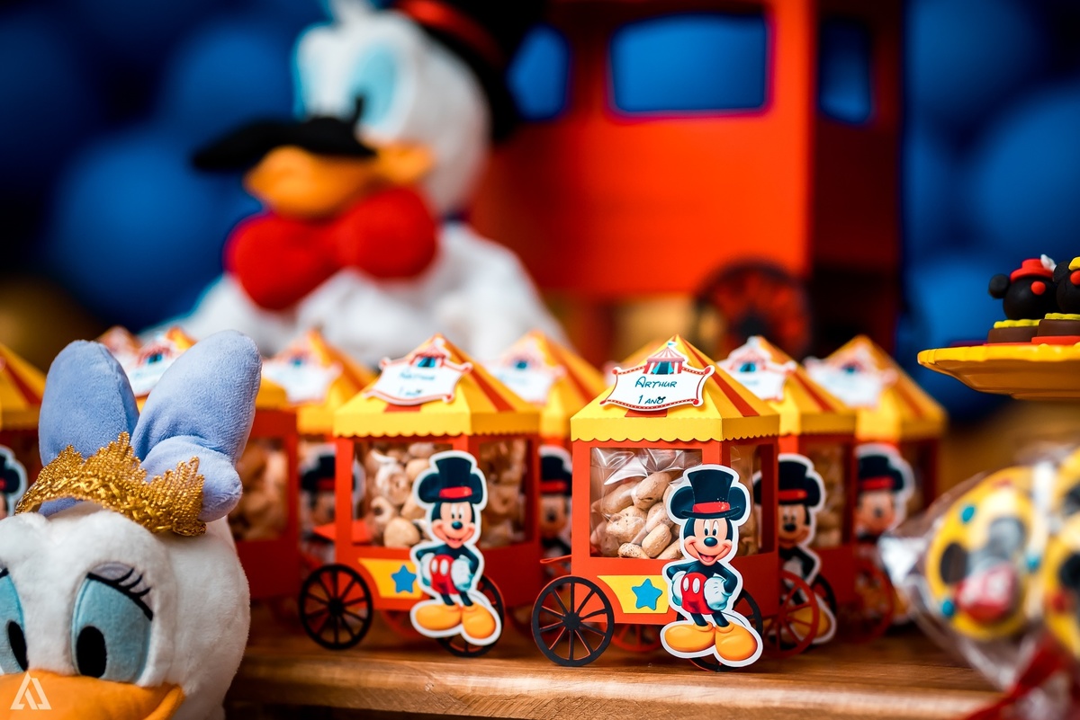 Aniversário Infantil Festa Circo Alex Jardim Fotografia Fotógrafo Resende Itatiaia Penedo Porto Real Quatis Barra Mansa Volta Redonda 