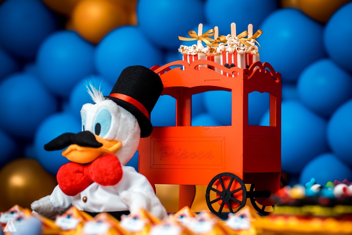 Aniversário Infantil Festa Circo Alex Jardim Fotografia Fotógrafo Resende Itatiaia Penedo Porto Real Quatis Barra Mansa Volta Redonda 