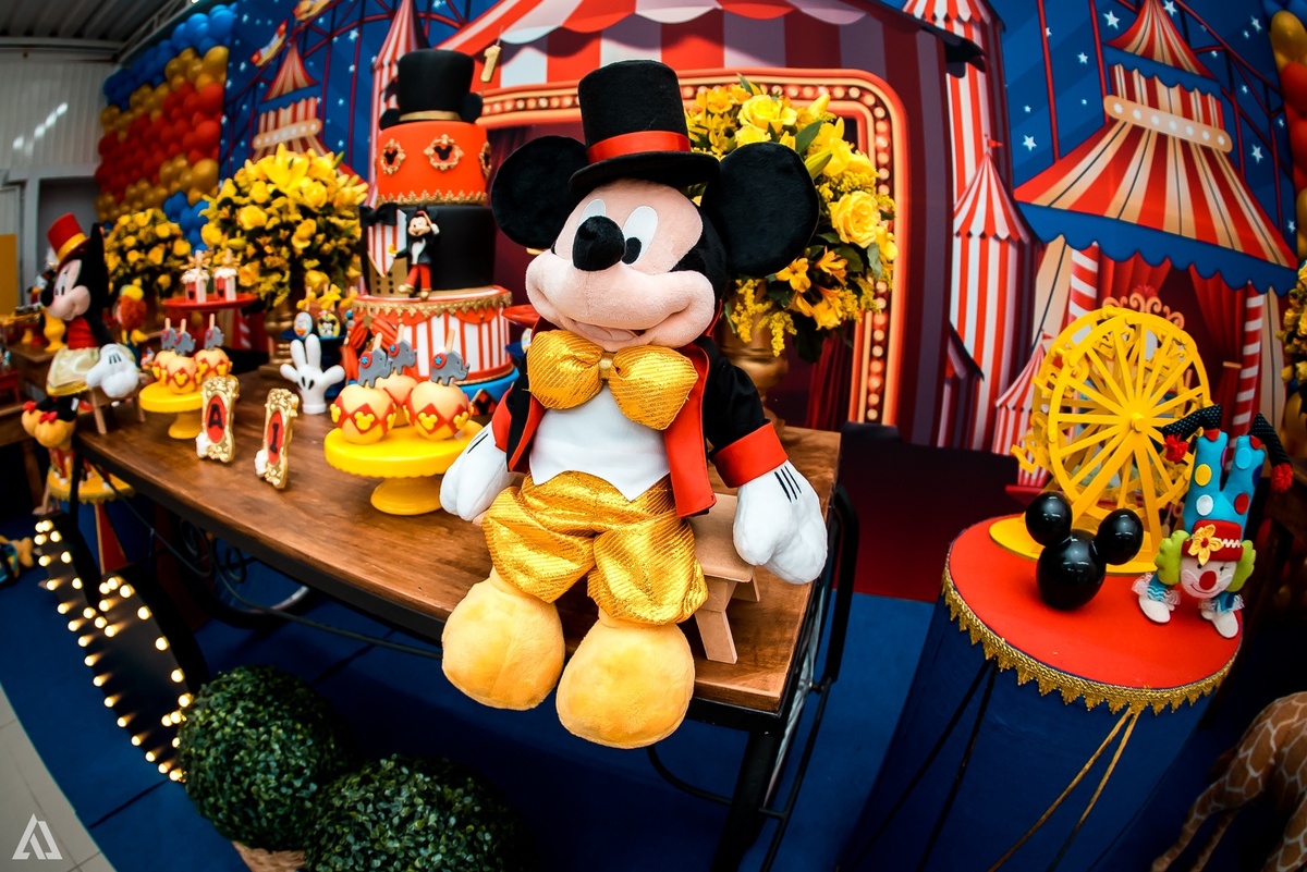 Aniversário Infantil Festa Circo Alex Jardim Fotografia Fotógrafo Resende Itatiaia Penedo Porto Real Quatis Barra Mansa Volta Redonda 